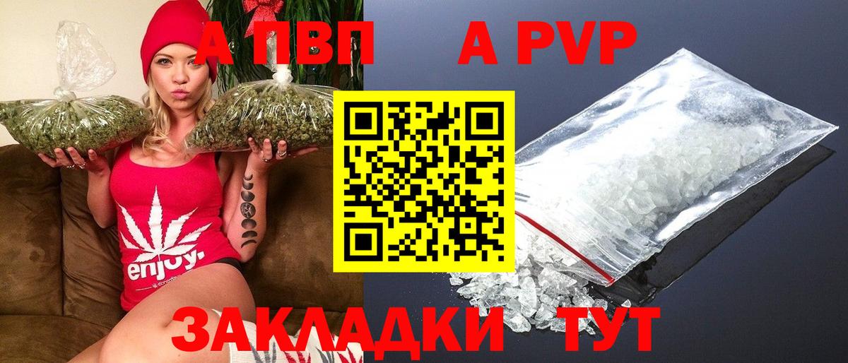 Alfa_PVP СК КРИС Йошкар-Ола