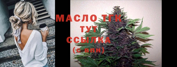 не бодяженный Новодвинск