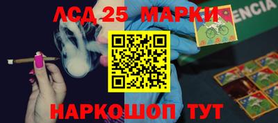 PSILOCYBIN Дубна