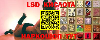 PSILOCYBIN Дубна