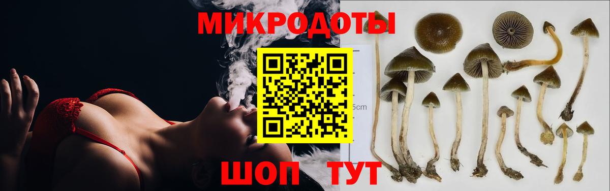 Йошкар-Ола  Галлюциногенные грибы мухоморы  Вход с VPN  Галлюциногенные грибы мухоморы 