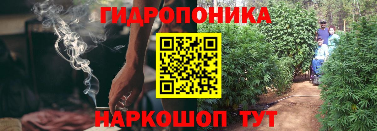 Канабис планчик Йошкар-Ола